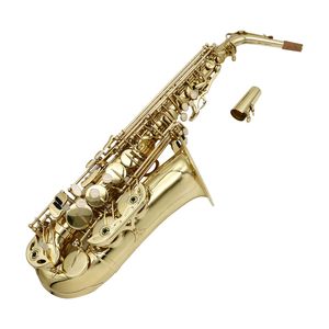 Musical Instrument